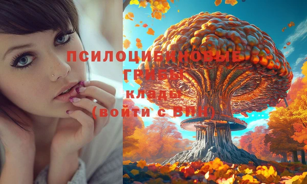 соль ск Дмитриев