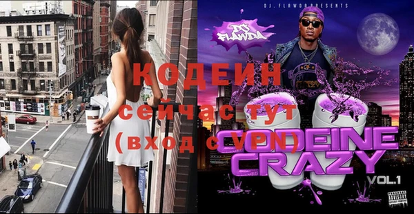 соль ск Дмитриев