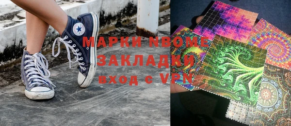 соль ск Дмитриев