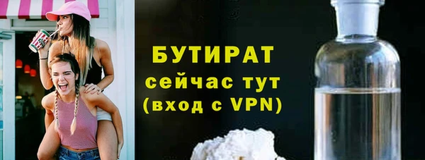 соль ск Дмитриев