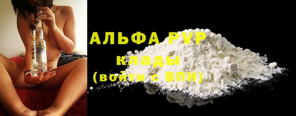 соль ск Дмитриев