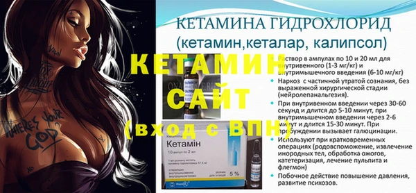 соль ск Дмитриев