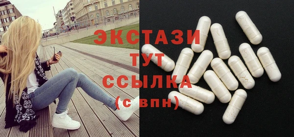 соль ск Дмитриев
