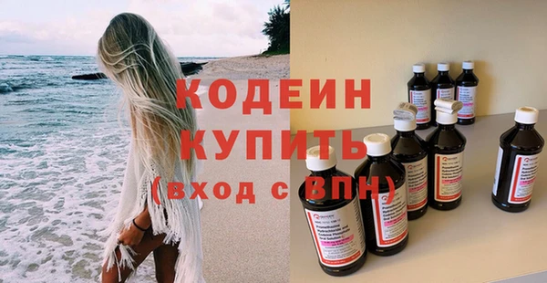 соль ск Дмитриев