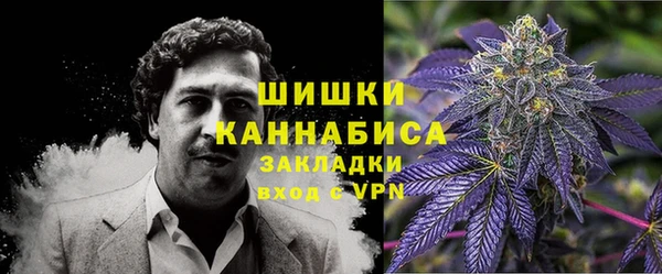 молекула духа Дмитров