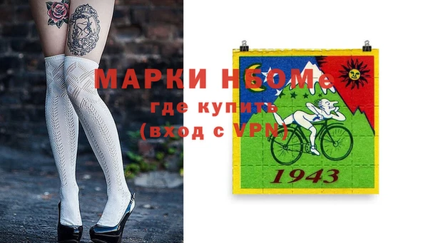 соль ск Дмитриев