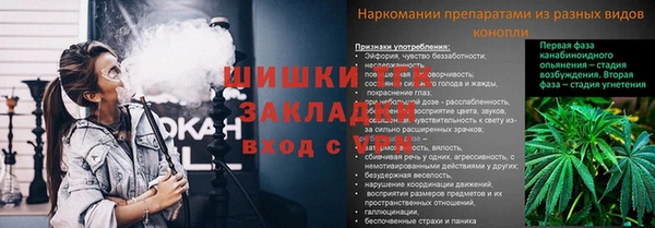 соль ск Дмитриев