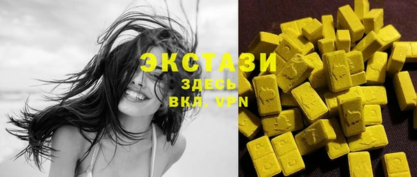 соль ск Дмитриев