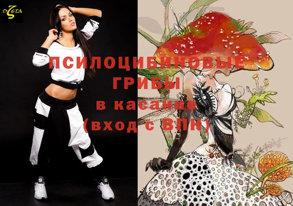 молекула духа Дмитров