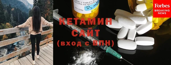 соль ск Дмитриев