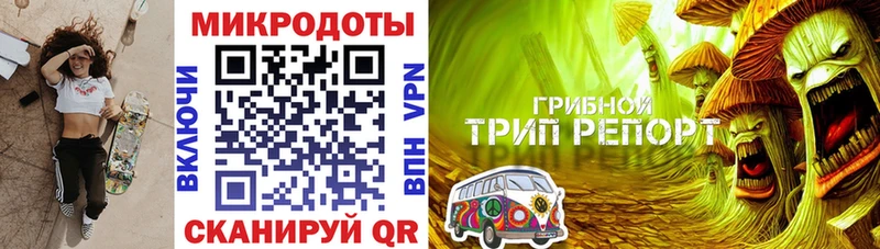 Купить закладки  Каменск-Шахтинский  Псилоцибиновые грибы Psilocybe 
